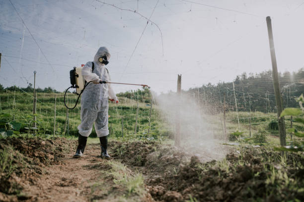 Best Mosquito Control Services  in Hanover Park, IL