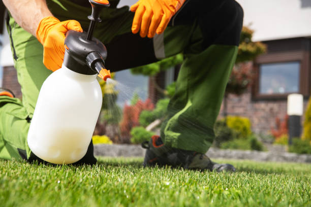 Best Termite Control Services  in Hanover Park, IL