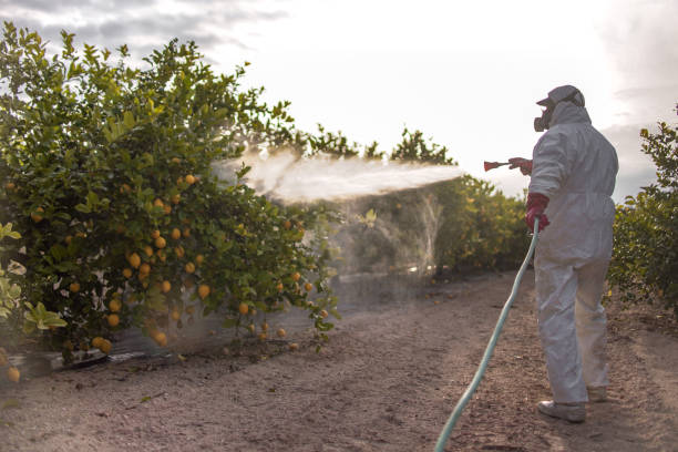 Best Pest Prevention Services  in Hanover Park, IL