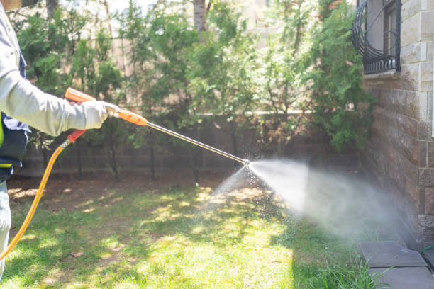 Best Best Pest Control Near Me  in Hanover Park, IL