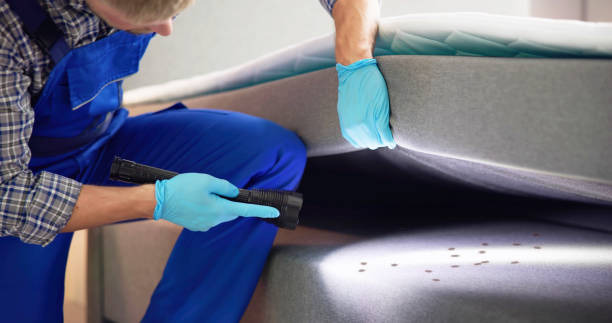 Best Best Pest Control Companies  in Hanover Park, IL