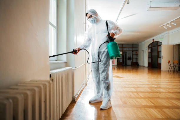 Professional Pest Control in Hanover Park, IL