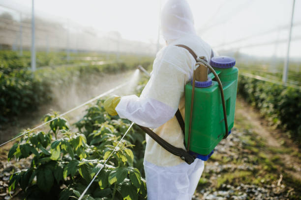 Best Pest Control Near Me  in Hanover Park, IL